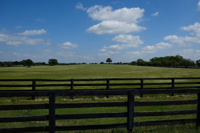Horse ranch pasture
