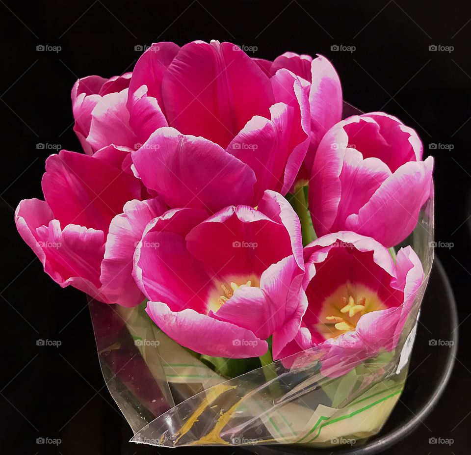 Pink Tulip Bouquet 