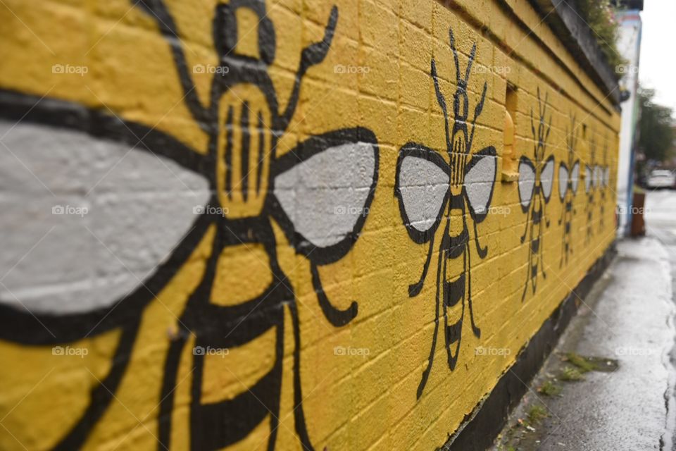 The bees of Manchester