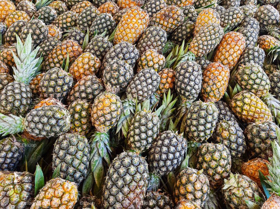 multiplication of pineapples