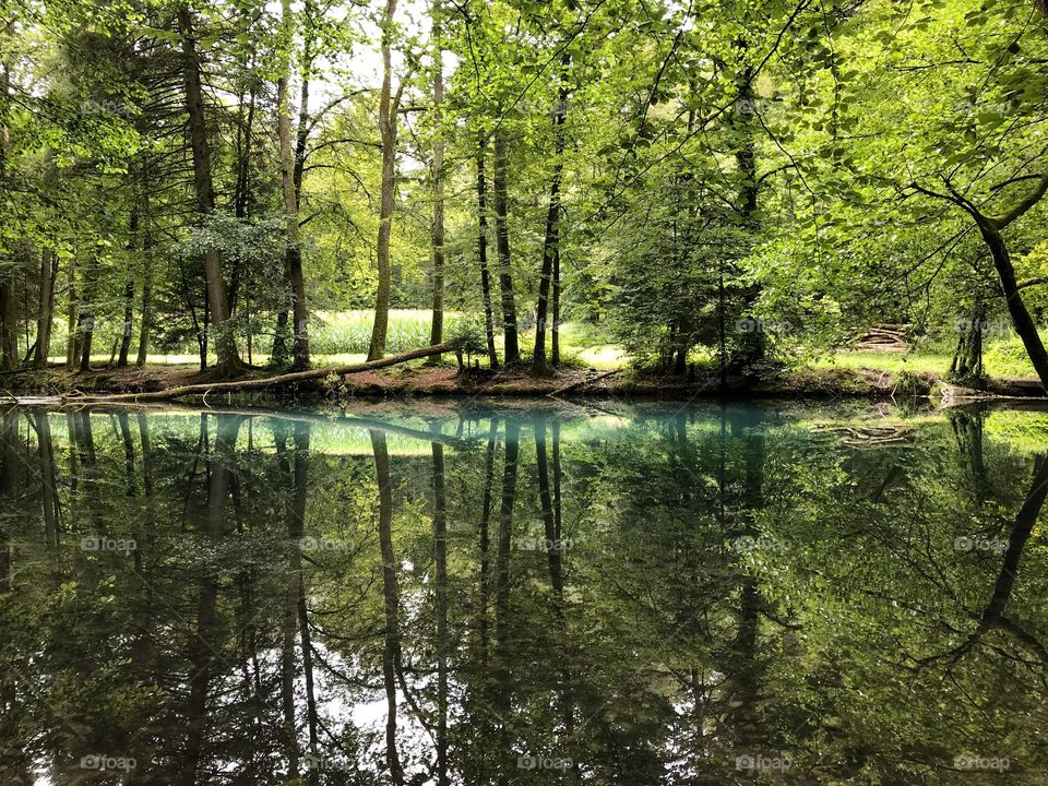 Steibachweiher 