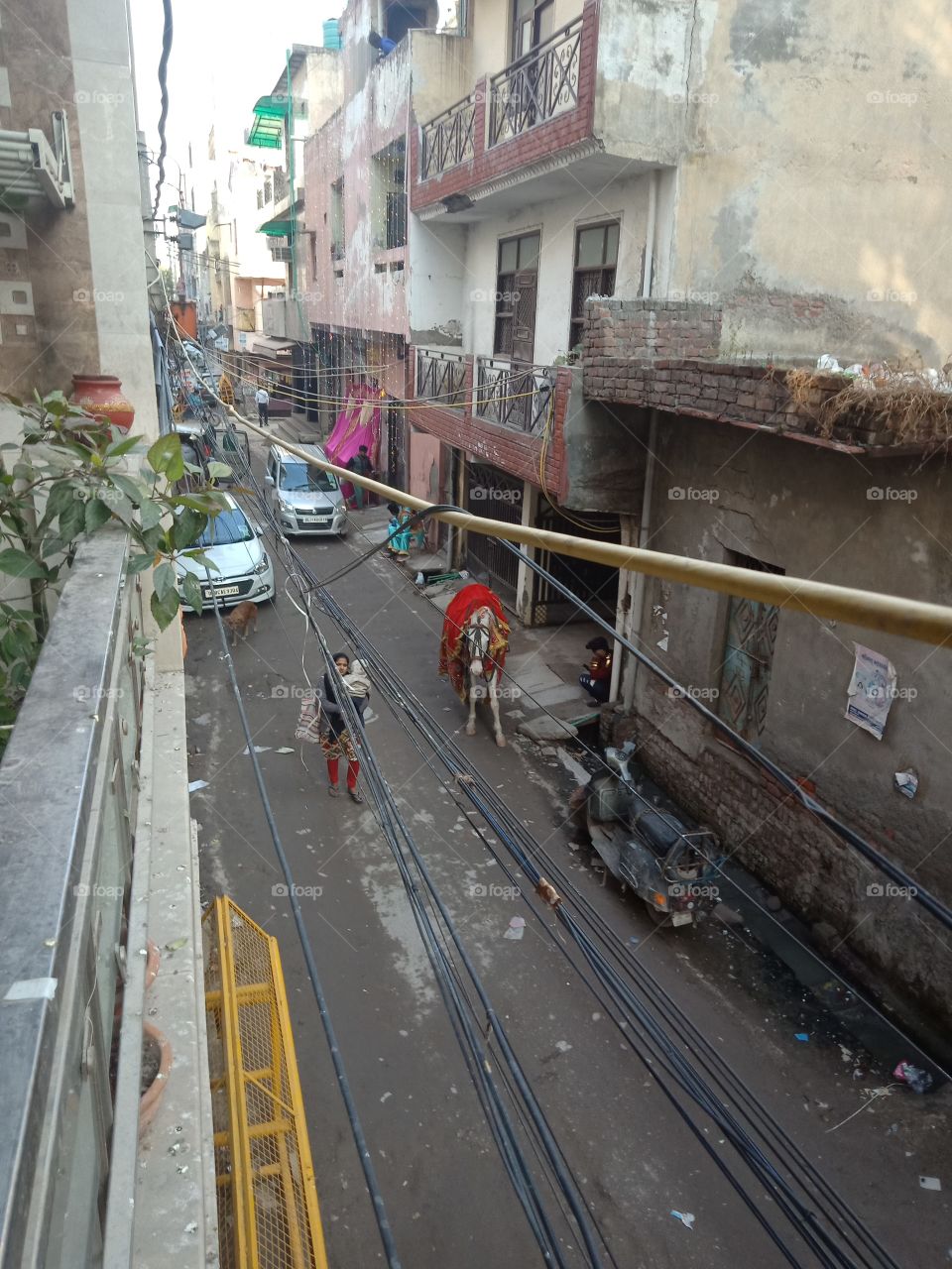 Typical street in Indian Capital city