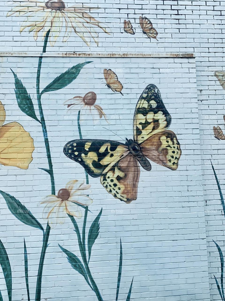 Butterfly mural 2