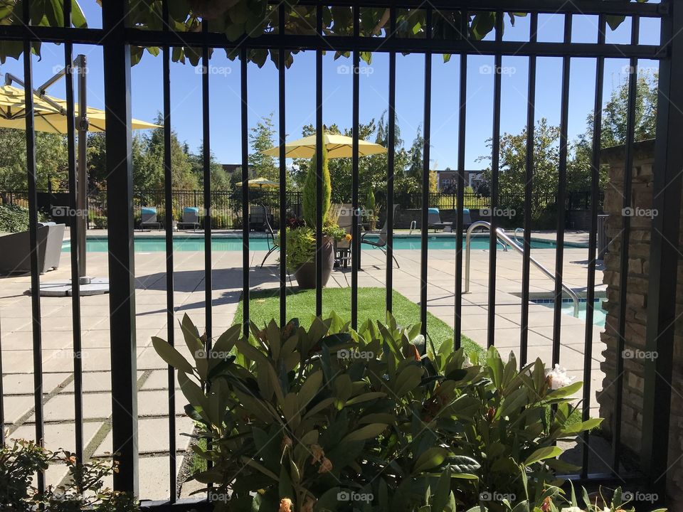 Bar fence and bushes in the forefront of a nice community pool. Yellow umbrella and chairs casting a shadow. The pool lies in the background. 