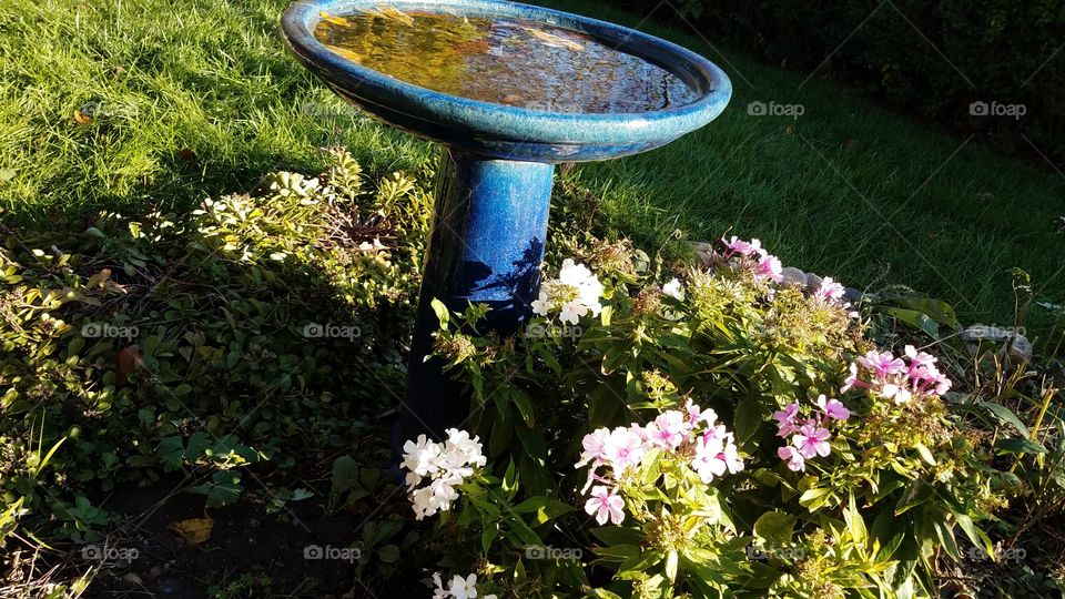 summer ending reflections