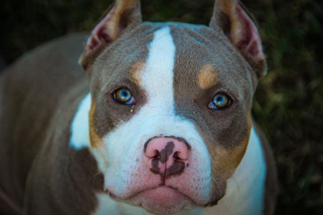 Look into my eyes
