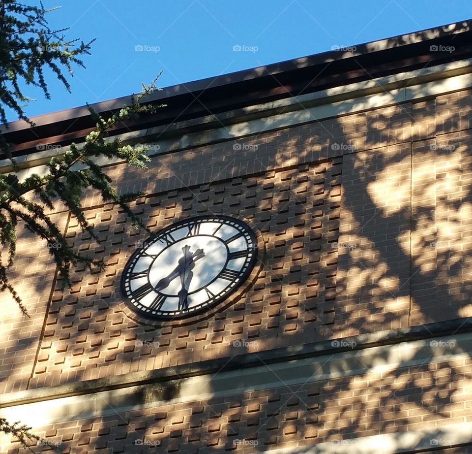building with clock,shadows