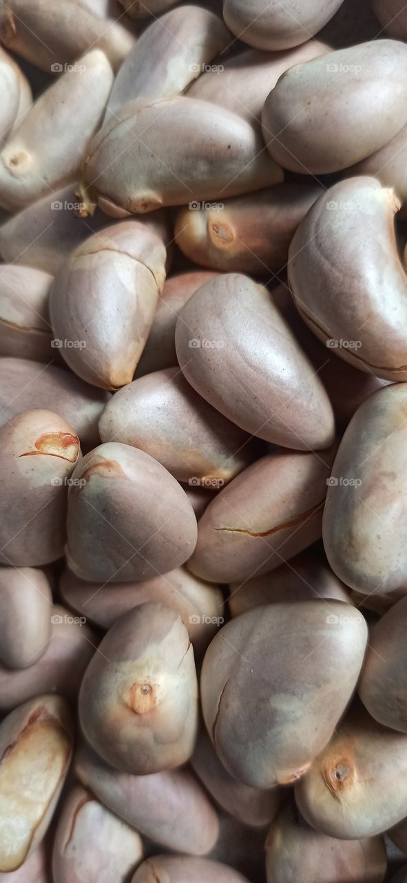 Jackfruit seed