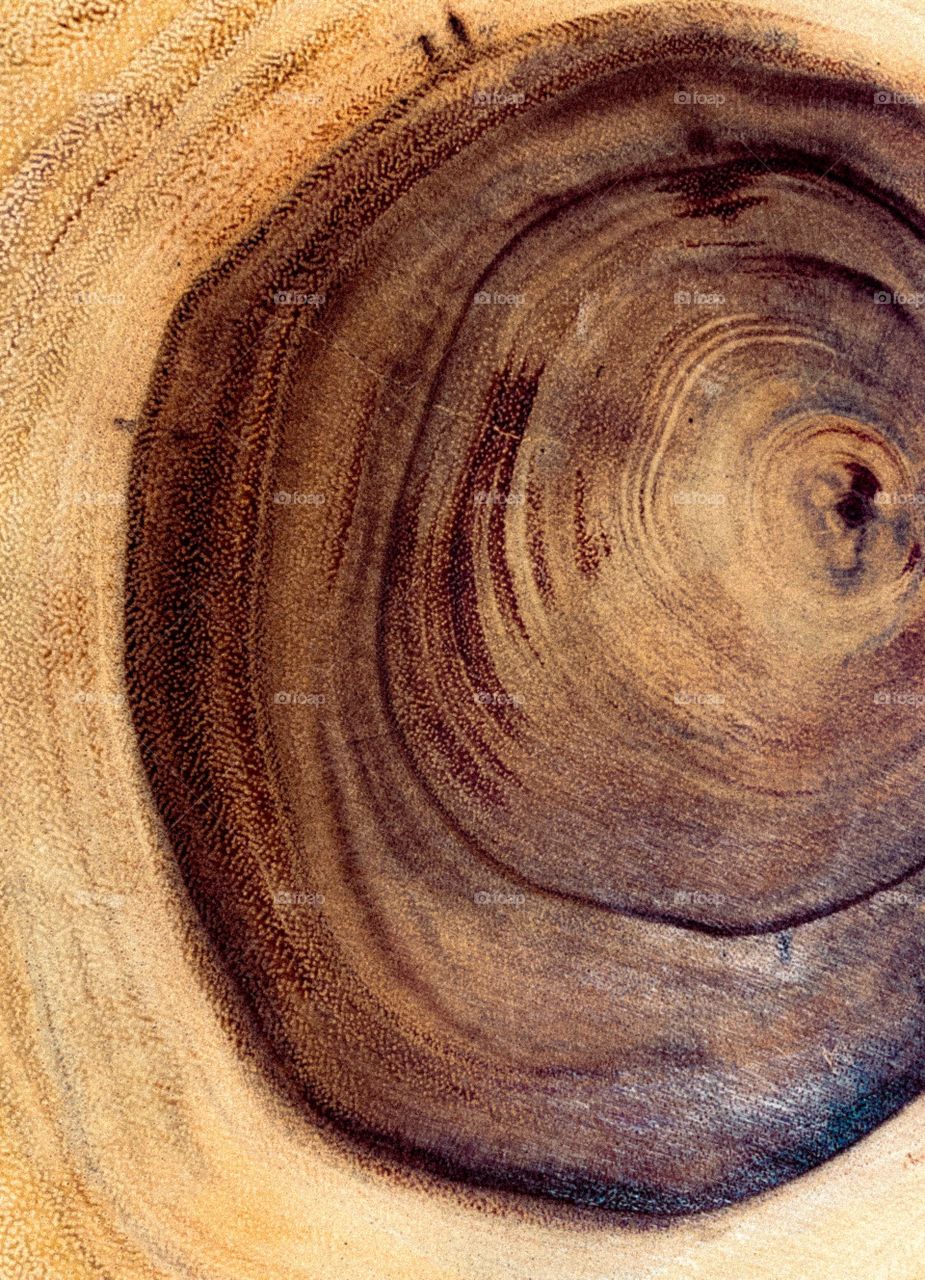 Rustic wood growth rings from a tree slice