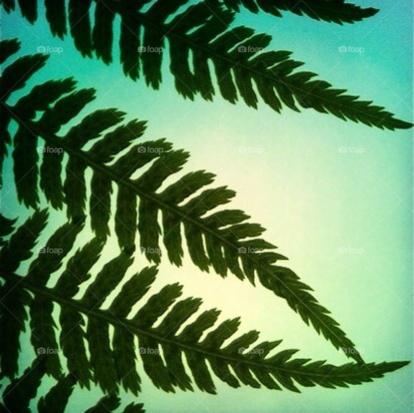 sweden ängelholm neighborhood lärkeröd by smartini65