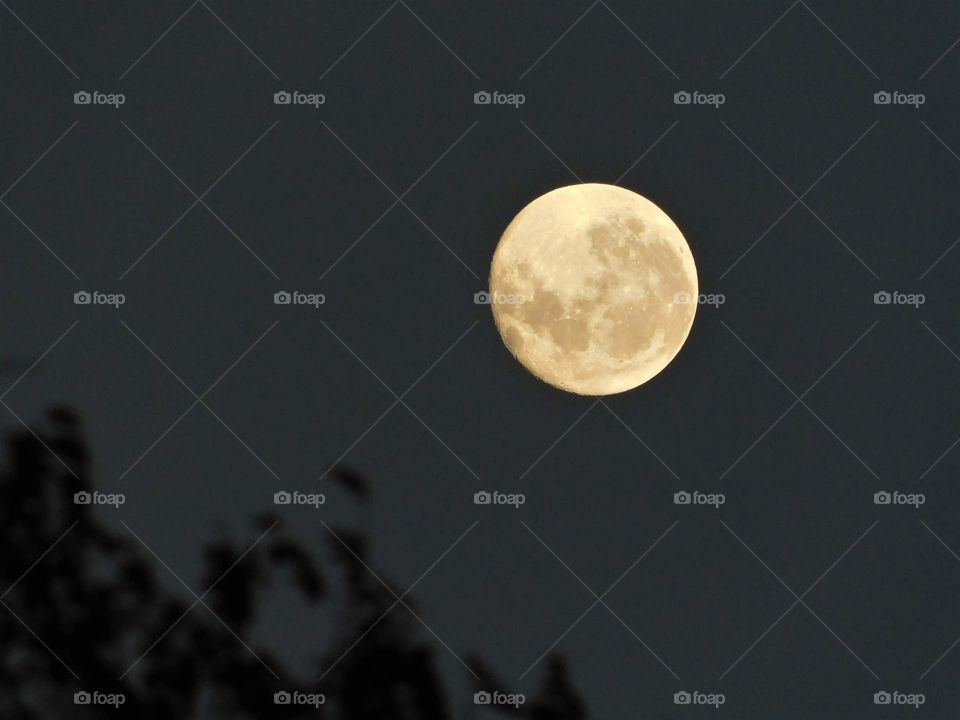 saturday morning moon