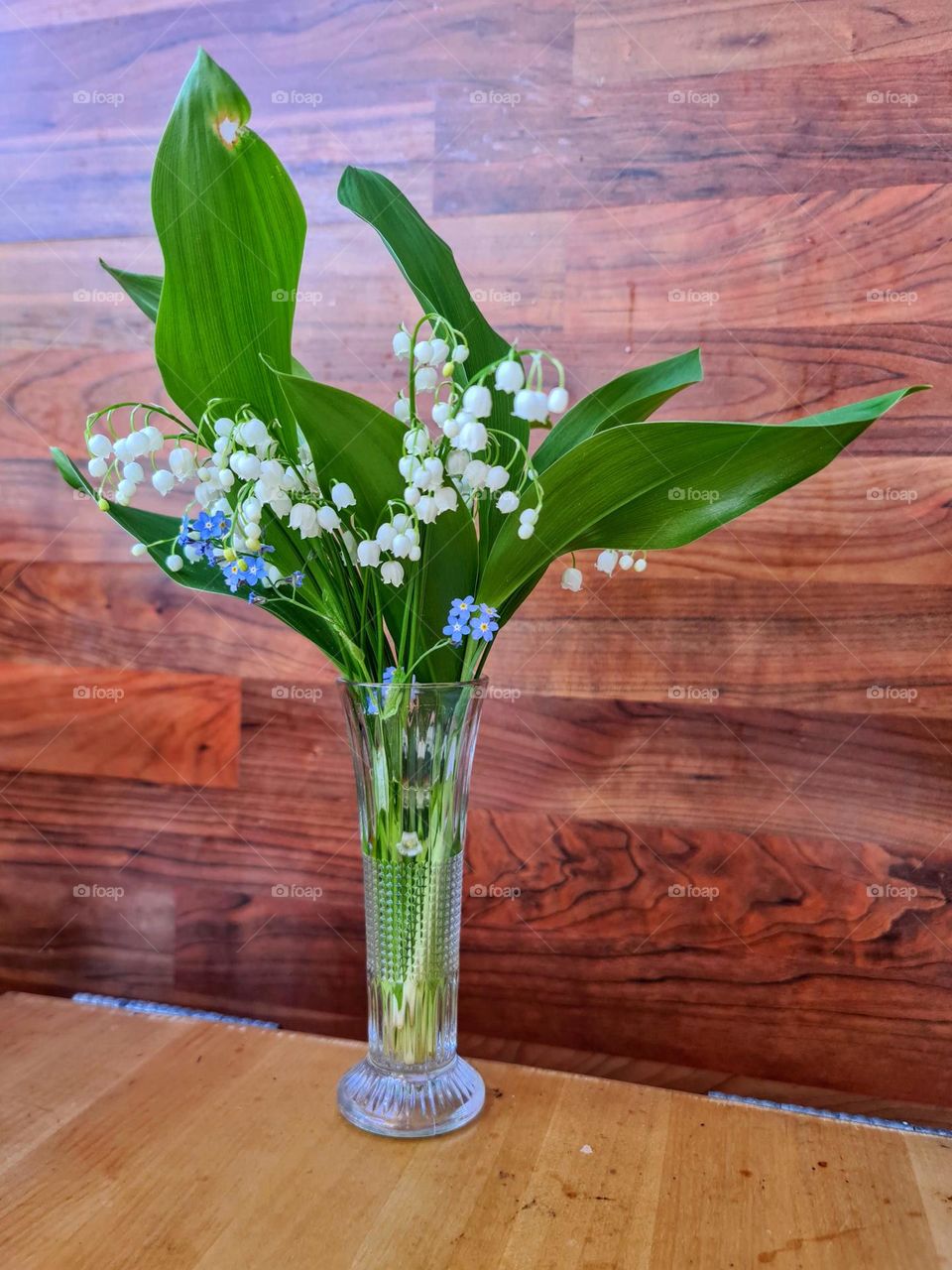 Bright fresh bouquet of the first spring flowers forget-me-not and lily of the valley in the narrow glass vase with wooden panels on the background 