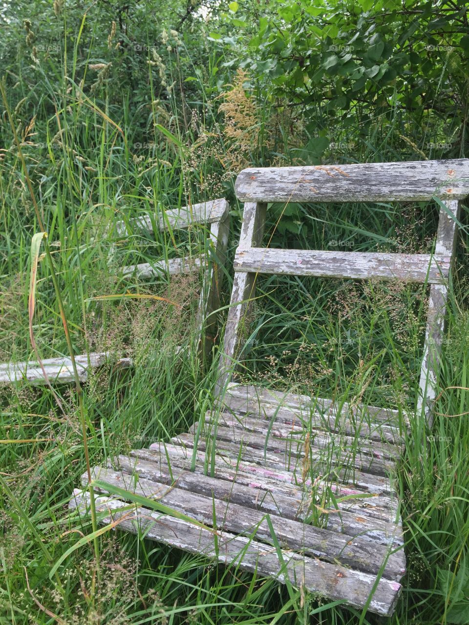 Vintage chairs in nature