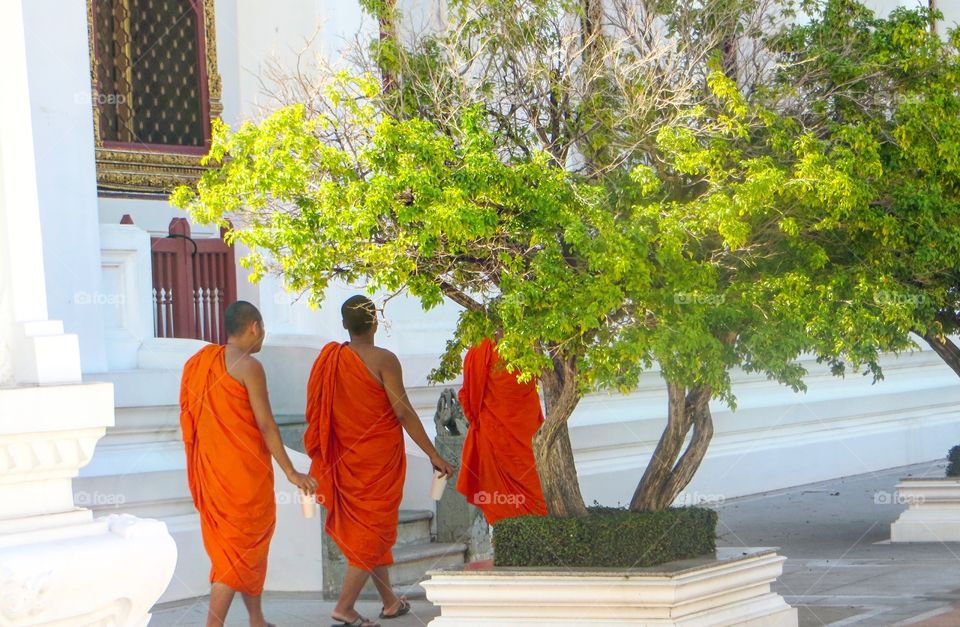 Orange monks in Thailand 