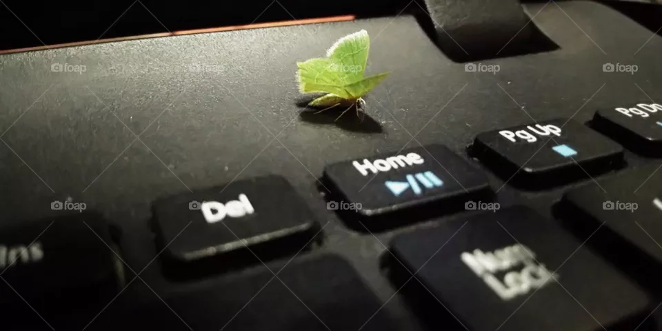 deleted home😥