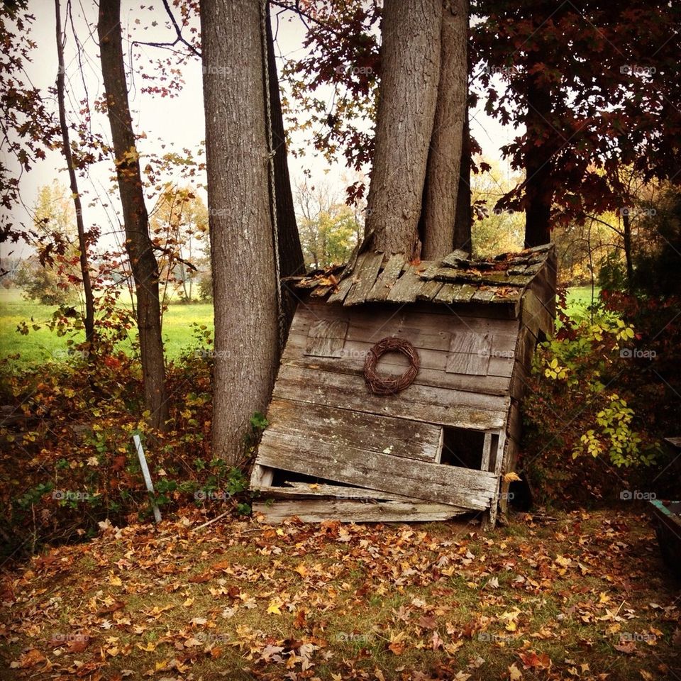 Rustic Treehouse =0==👅👅👅👅💋⬇