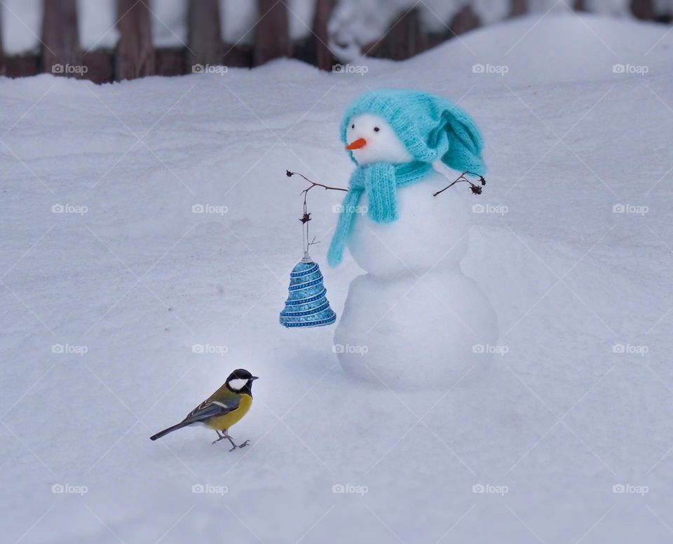 little bird titmouse and snowman