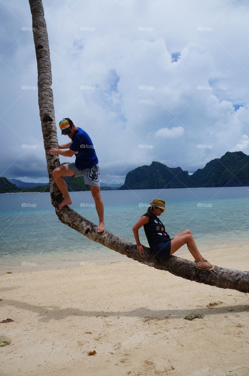 Climbing trees this is our city