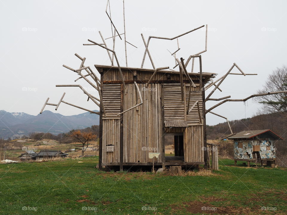 Farm, Wood, Barn, Windmill, Abandoned