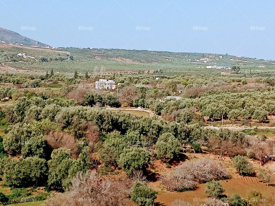 Population between the nature