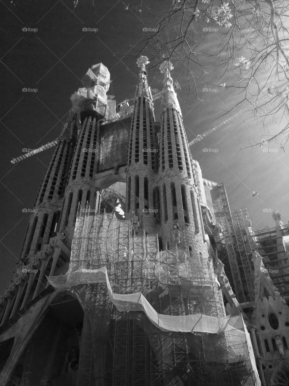 La sagrada familia . Gaudí's work 