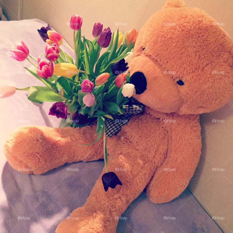 Teddy bearrr. Teddy with flowers 