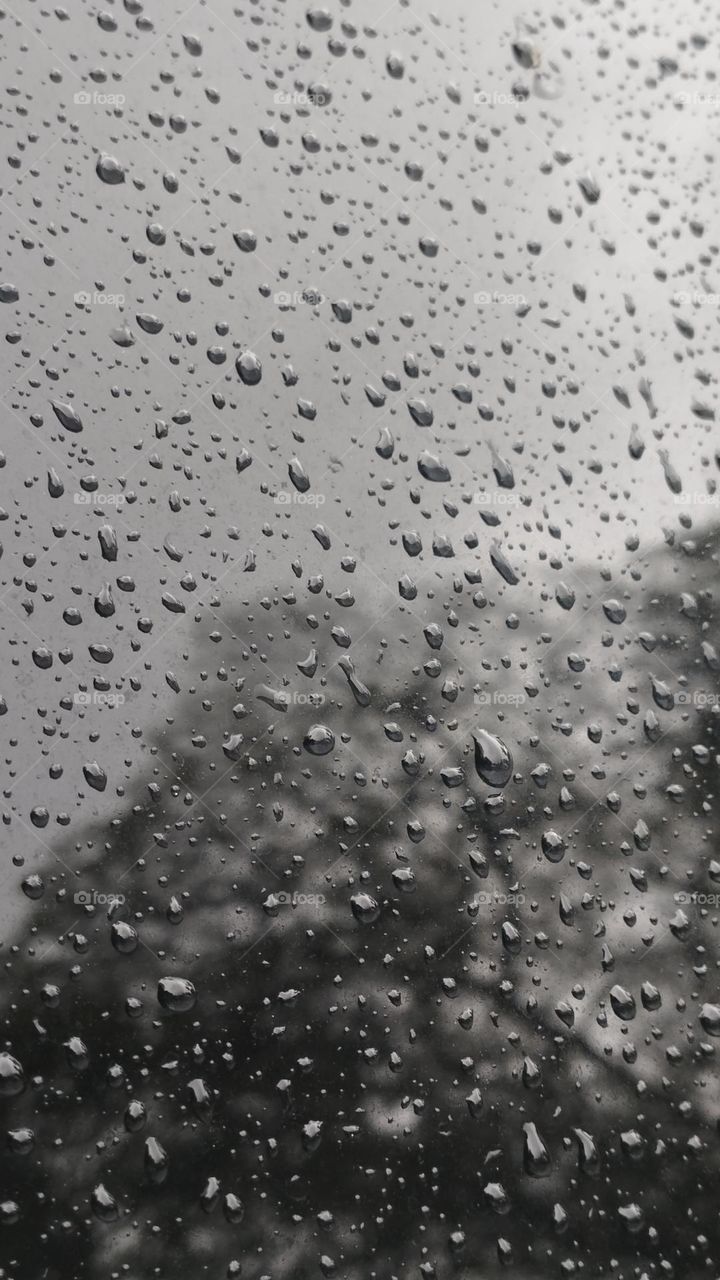 Rain Drops