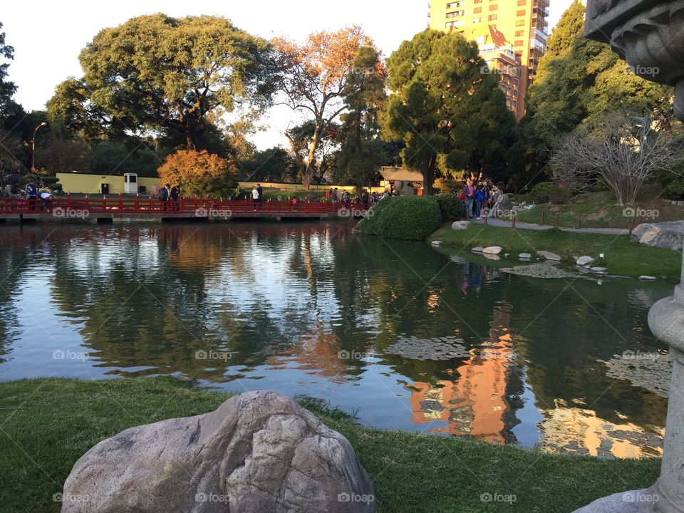 Japanese garden II. The Japanese garden of Buenos Aires- Argentina