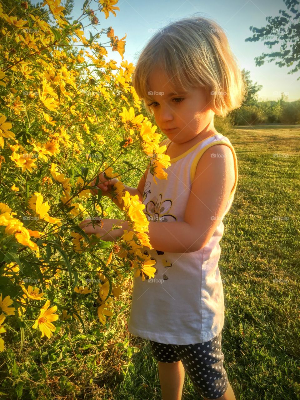 Flower explorer