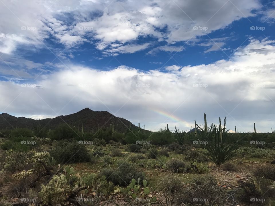 Desert Landscape - Rainbow 