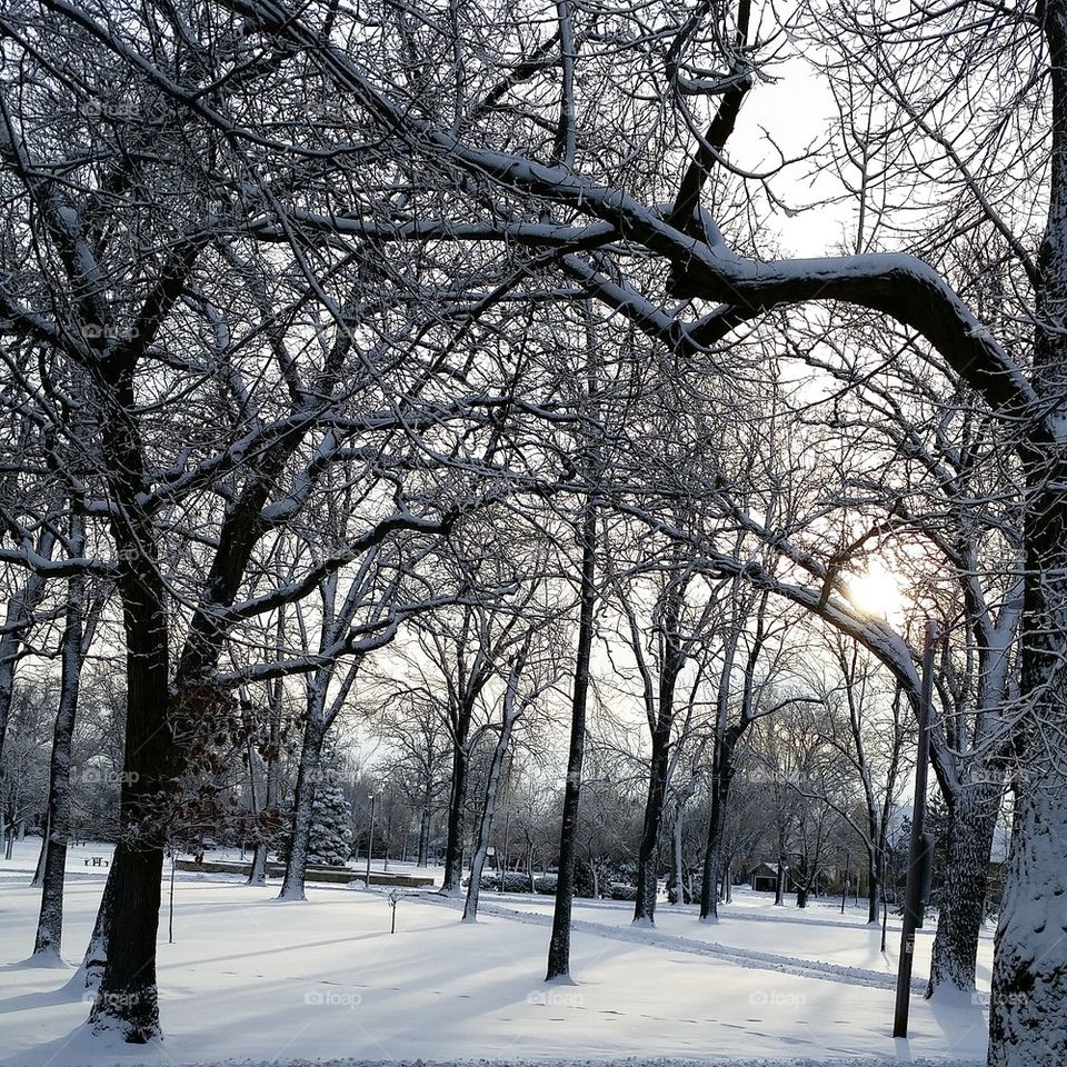 November Morning Fresh Snow