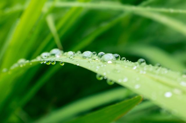 water droplets