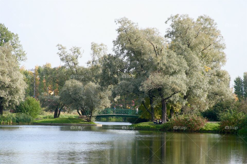 Bridge in Parck