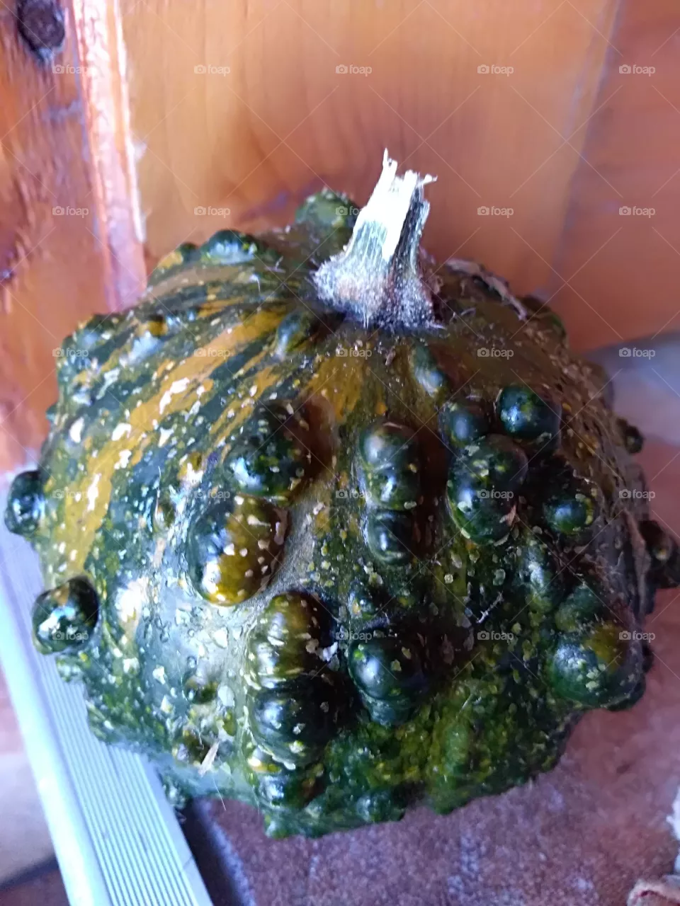 pumpkin