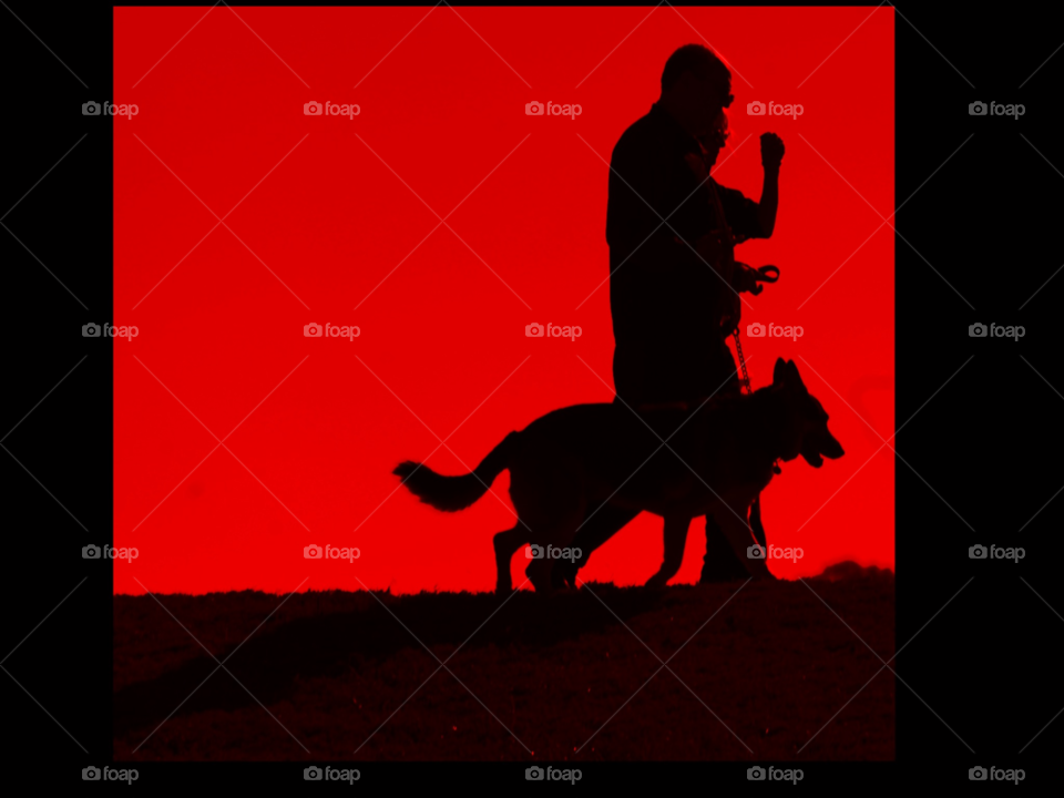 sky red dog walking by lightanddrawing