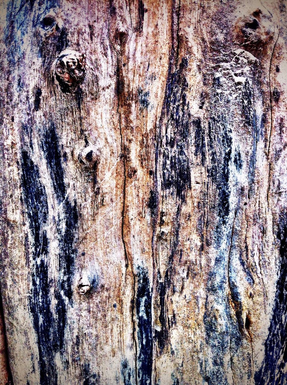 Wood texture