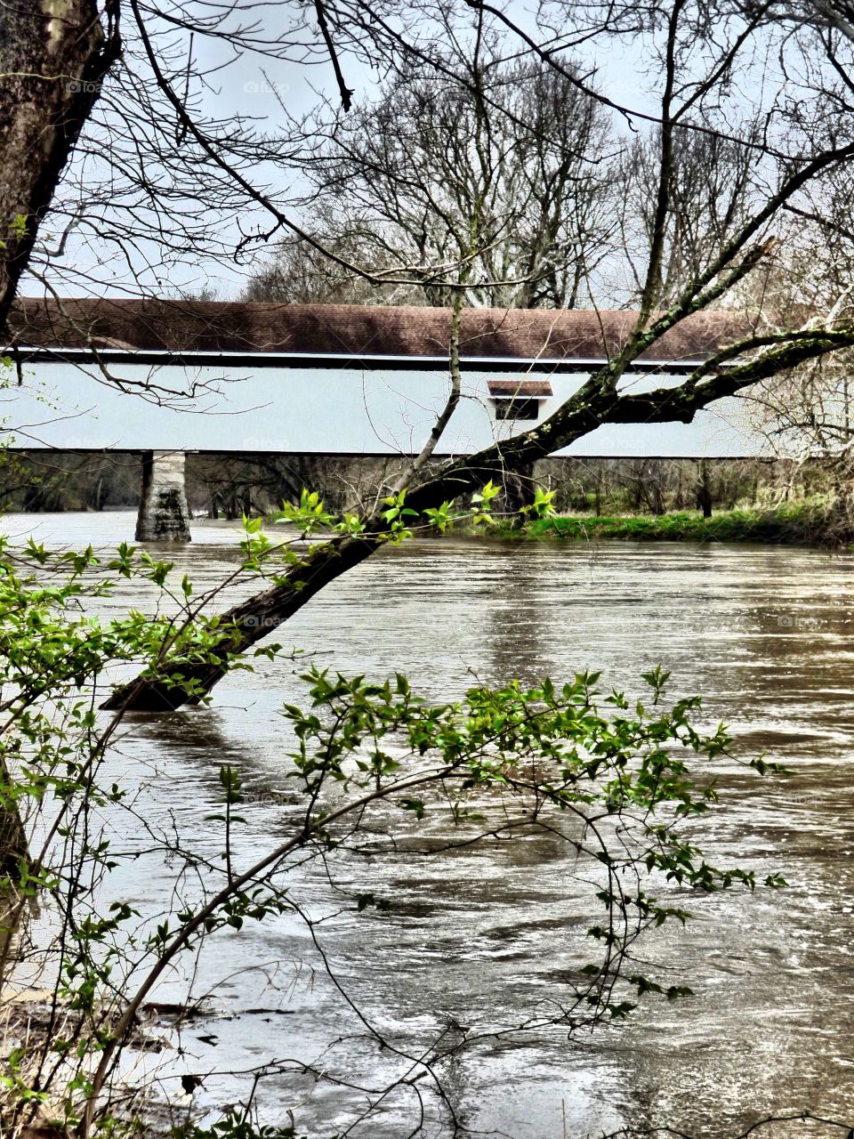 Beautiful view on a rainy day of the covered bridge 