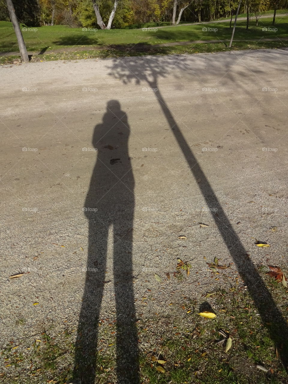 girl and tree