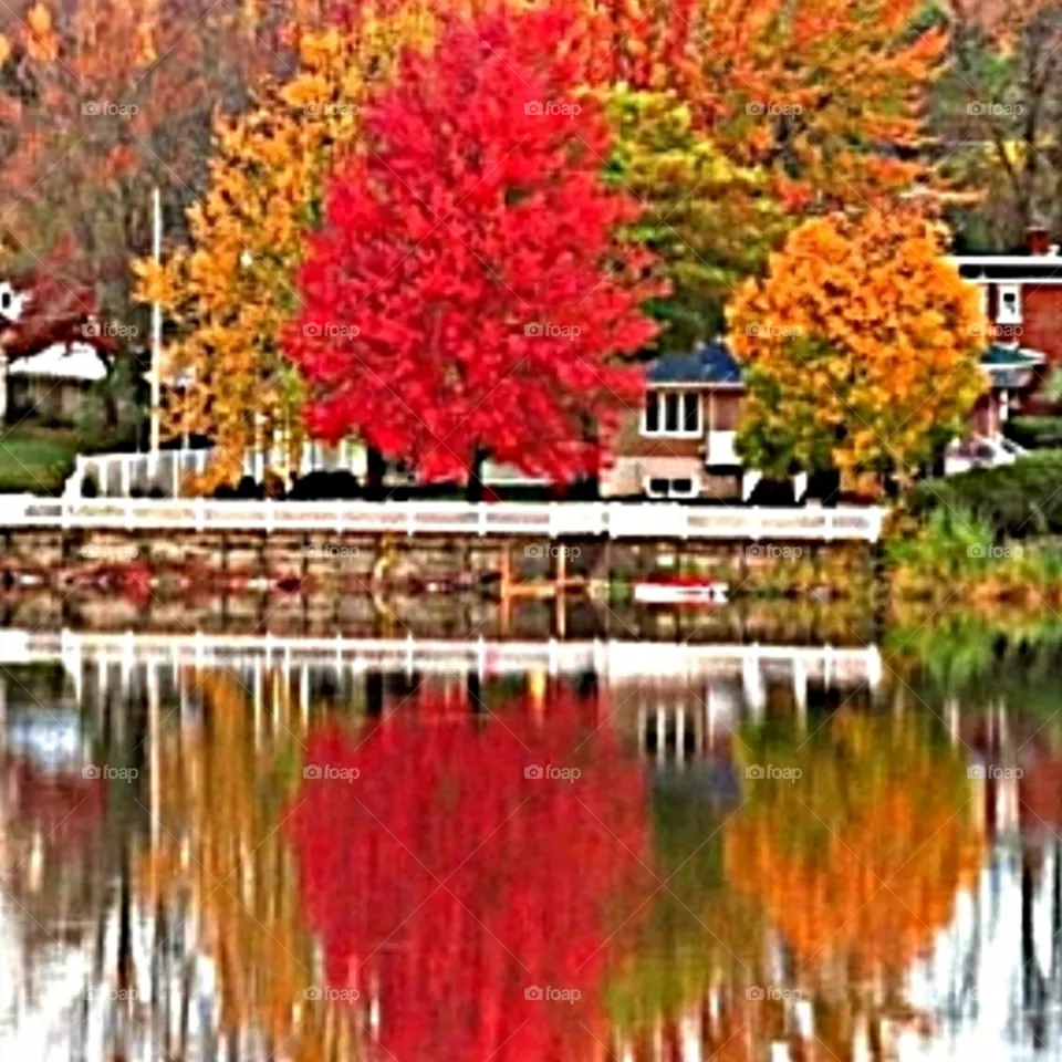 Watercolor reflections