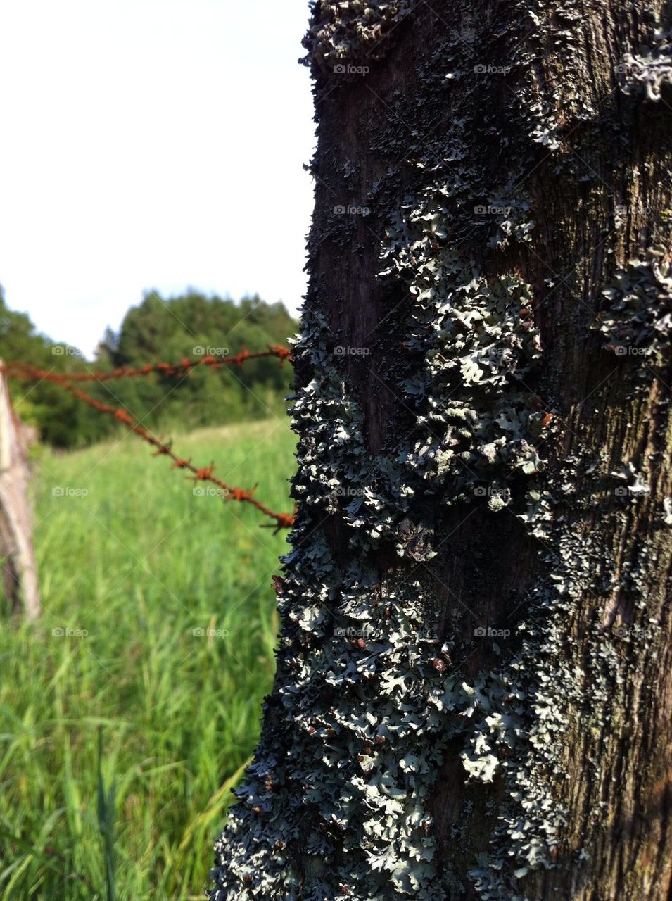 sweden lake västersjön by smartini65