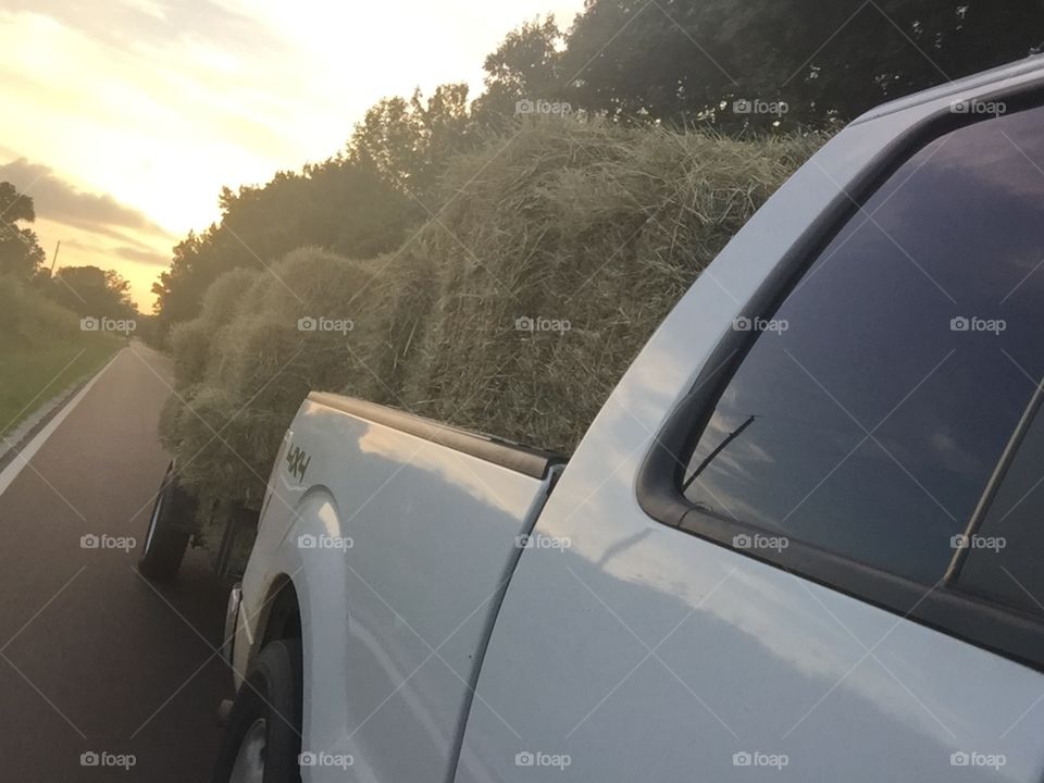 Getting the Hay