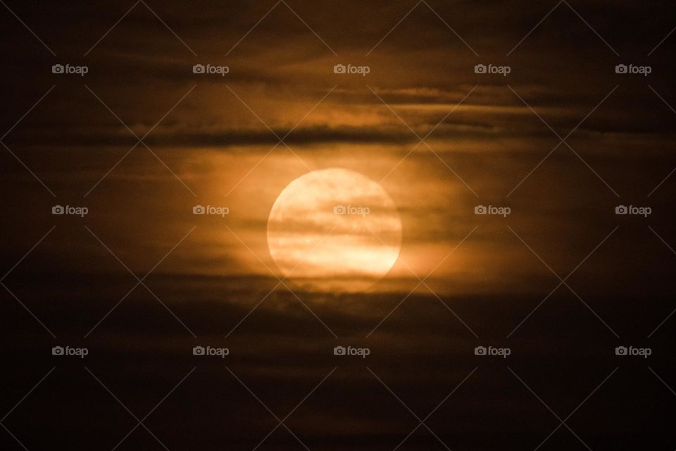 Rising yellow full moon
