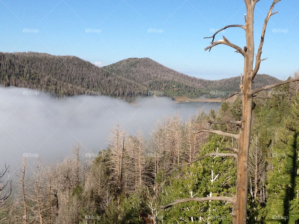 Fog over mountain lake