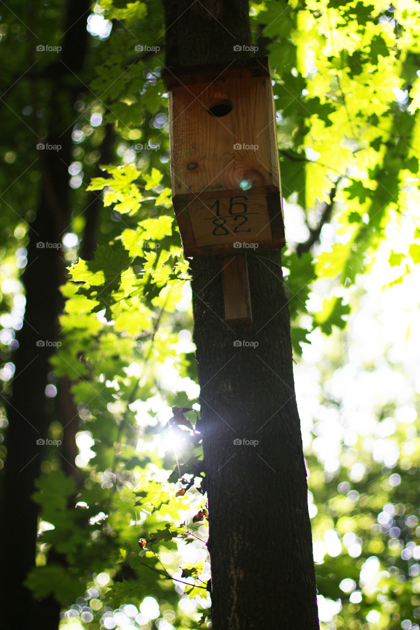 A birdhouse 