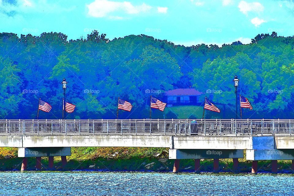 American flags on the Fourth of July. 
