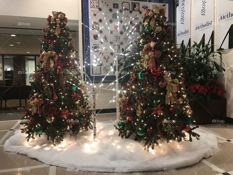 Two Christmas Tree's 