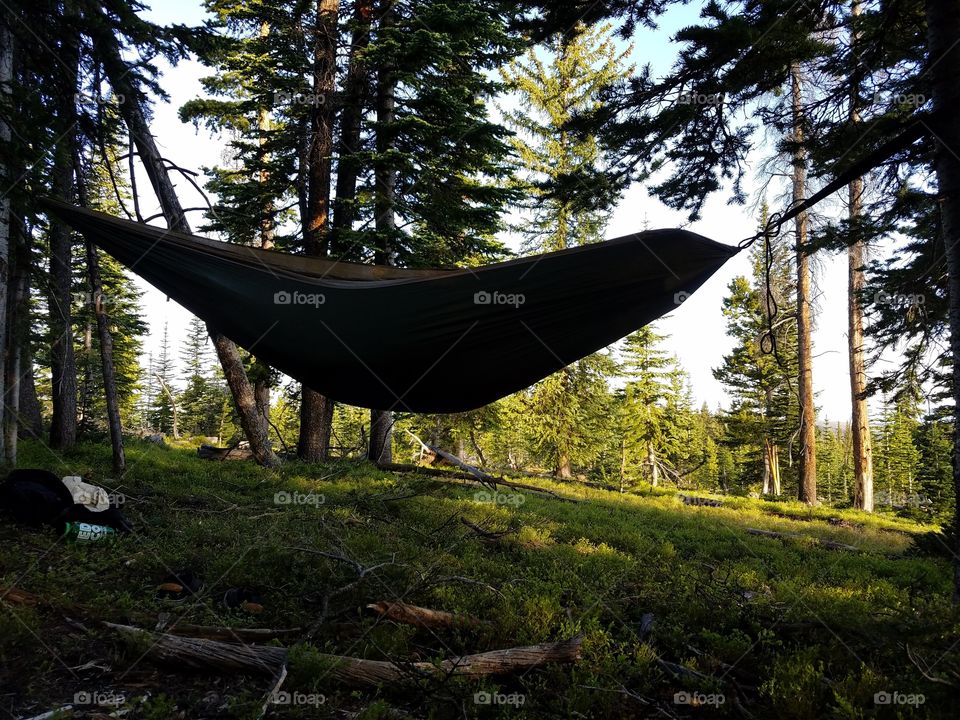 A hammock on a Colorado morning during the summer.