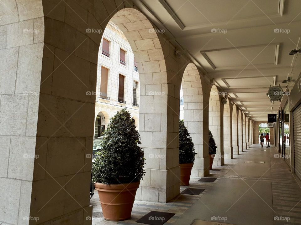 Trees in pots stands in arches. Repetition elements 