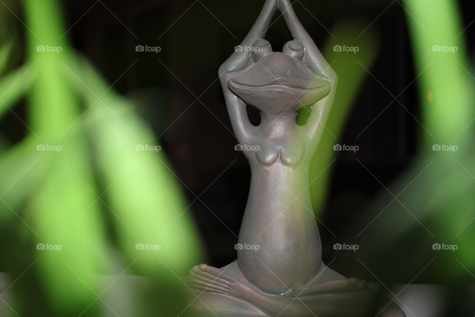 Yoga Frog 