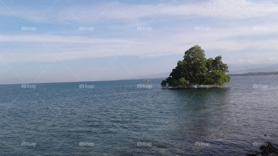 care and saving the tree to future